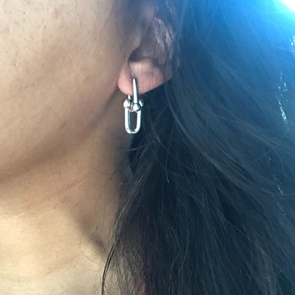 Hardware Link U Earrings